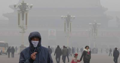В Китае зафиксировали новый штамм птичьего гриппа с высокой летальностью