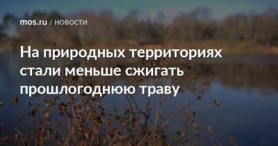 На природных территориях стали меньше сжигать прошлогоднюю траву - mos.ru - Москва