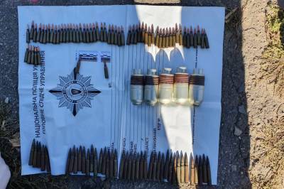 В Луганской области задержали торговца оружием и боеприпасами