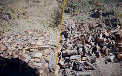 Турция возобновила вырубку лесов в Иракском Курдистане