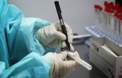 В Новосибирской области выявили 295 случаев заражения коронавирусом