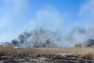Астраханскую область вновь может накрыть дым от пожаров в Казахстане
