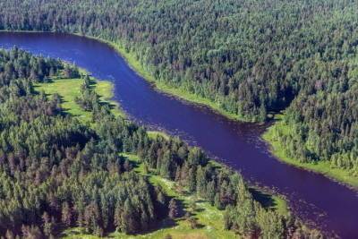 Под председательством Норвегии на форуме Совета Баренцева Региона обсудили управление лесами, климат и биоэкономику