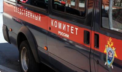 В московской квартире обнаружили тела двух взрослых и ребенка