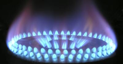Кабинет министров временно ограничил стоимость газа