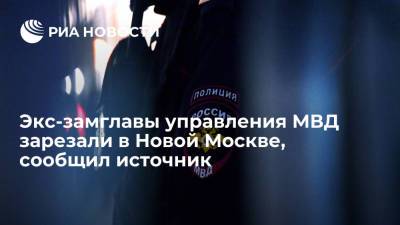 Источник: экс-замглавы управления МВД Новосельцева зарезали в Новой Москве
