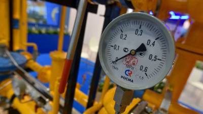 Молдавский премьер Гаврилица не стала называть стоимость польского газа для Кишинева
