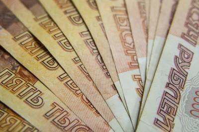 Россиян ждет увеличение пособий и социальных выплат