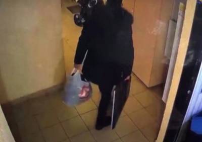 Кража двух телевизоров из квартиры в Рязани попала на видео