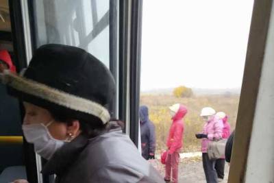 В Воронеже отменили десять маршрутов автобусов, которые возили дачников к участкам