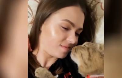 «Не останавливайся». Любящий поцелуи кот вместе со своей хозяйкой умилил соцсети (ВИДЕО)