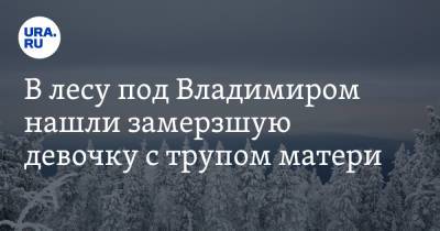 В лесу под Владимиром нашли замерзшую девочку с трупом матери