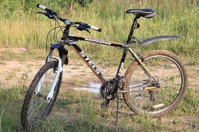В арбитражный суд поступило заявление ФНС о признании производителя велосипедов Stels несостоятельным