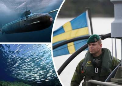 Шведы и норвежцы потерпели фиаско в политической игре «Найди русскую подлодку»