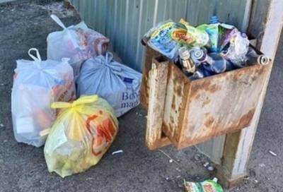 Ленинградские дорожники рассказали о «мусорных» итогах прошедшего лета