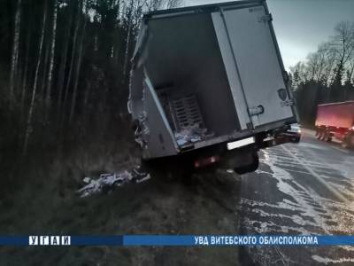 На трассе Минск — Витебск столкнулись два грузовика