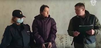 Ульяне Ланской официально предъявлено обвинение в убийстве ребенка