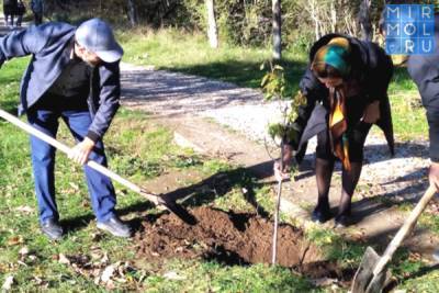 Кайтагцы приняли участие во Всероссийской экологической акции «Сохраним лес»