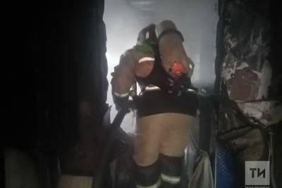Жертвой пожара в частном доме в Татарстане стал его хозяин