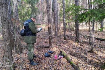 Во владимирских лесах нашли мертвой пропавшую накануне женщину