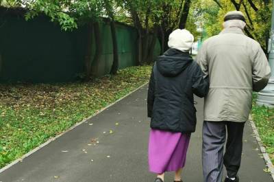 Метелев призвал депутатов помогать пожилым одиноким людям в локдаун