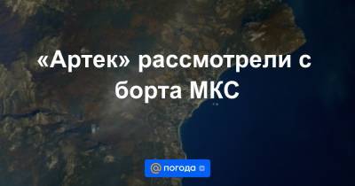 «Артек» рассмотрели с борта МКС