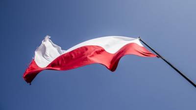 В правительстве Польши появится Москва