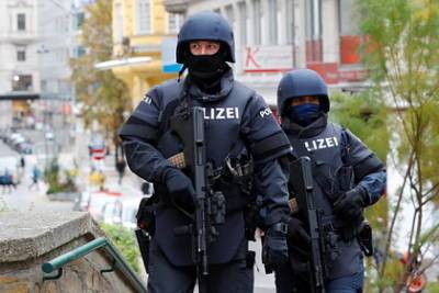 Мужчина напал на родственников, поджег дом и покончил с собой в Австрии