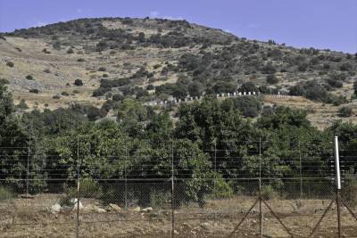 ЦАХАЛ пустил ливанцев в Израиль на сбор маслин