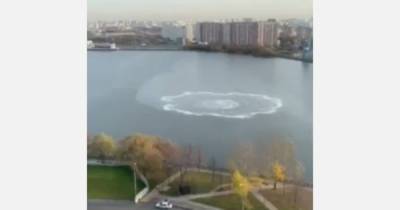 На Москве-реке заметили странные круги