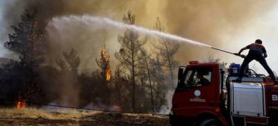 Обвиняемые в поджоге леса в Анталье семеро россиян отпущены из-под стражи