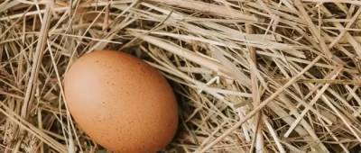 Диетолог рассказала о самом полезном способе употребления яиц