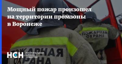 Мощный пожар произошел на территории промзоны в Воронеже