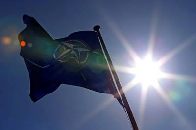 В Киеве предложили НАТО создать дайджест украинских реформ