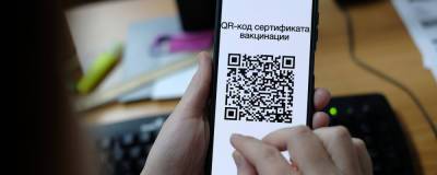 Систему QR-кодов в Новосибирской области введут с 30 октября