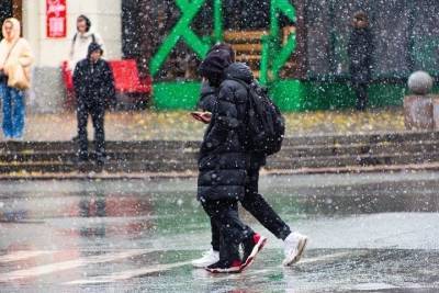Дождь с мокрым снегом и до +2 градусов тепла ожидают синоптики в Томске 27 октября