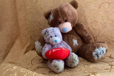 Жители Новосибирска отмечают Международный день плюшевого мишки Тедди