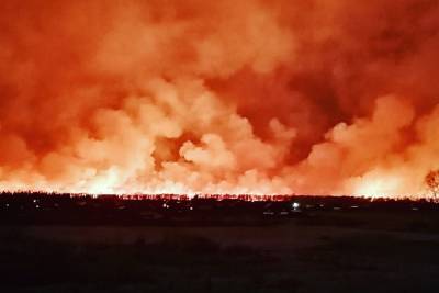 В Новосибирской области бушуют природные пожары