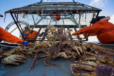 Китай прекратил закупать морепродукты у российских компаний
