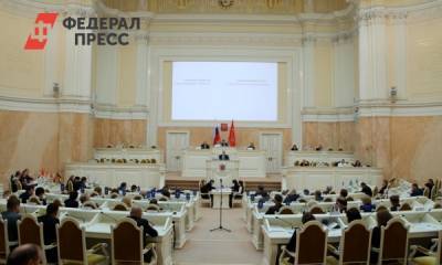 Депутаты Петербурга обсудят бюджет и новые выплаты