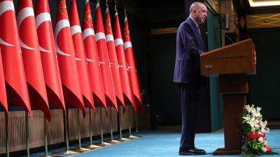 Эрдоган отменил свое решение о высылке из Турции послов 10 стран