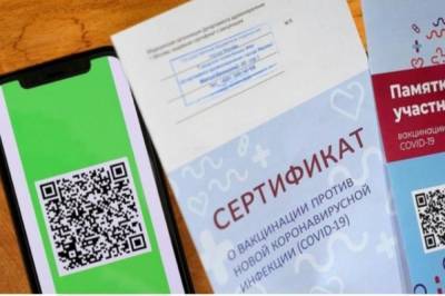 В Хабаровске на публичные слушания будут пускать с QR-кодом