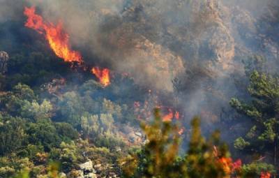 Подозреваемых в поджоге леса в Турции россиян отпустили под подписку о невыезде