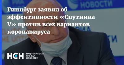 Гинцбург заявил об эффективности «Спутника V» против всех вариантов коронавируса