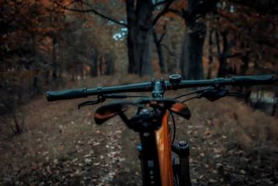 Осенне-велосипедное Выгорание в угли Свои Венгерские ультраправые Собственное видение Клеопатры Буду…
