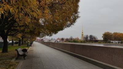 Теплая и дождливая погода ожидает петербуржцев 27 октября