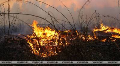 Два пожара травы и кустарников зафиксированы за сутки в Брестской области