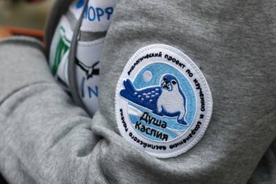 В Астрахани стартовала первая авиаэкспедиция по сохранению каспийского тюленя