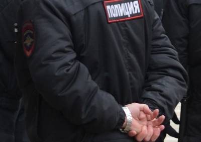 Полиция изучит информацию о мужчине, который схватил девочку на улице Гагарина