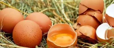 Медики рассказали о вреде куриных яиц для мужчин